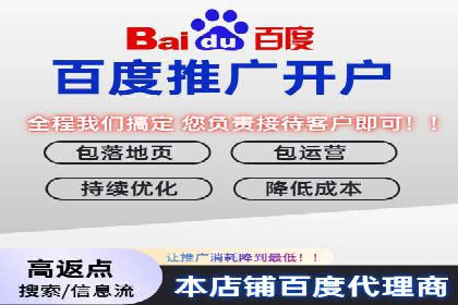 案例分析：百度推广代运营公司在行业中的应用与成效
